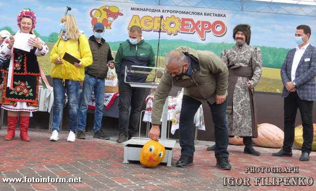 фото игоря филипенко, агро-ехпо, Покровському ярмарку, Як у Кропивницькому вибирали найбільшого гарбуза (ФОТО)